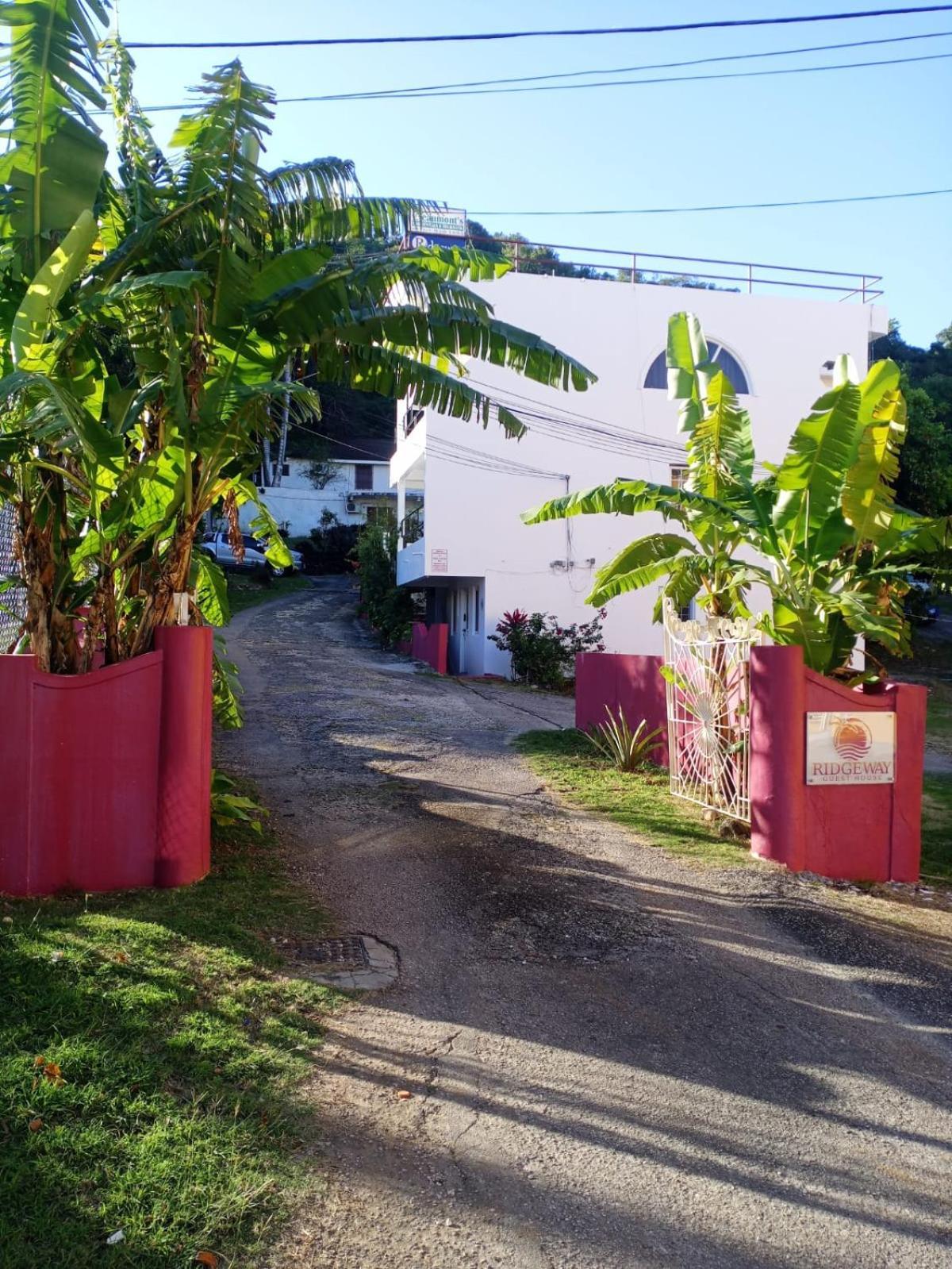 Ridgeway Guest House Montego Bay Kültér fotó
